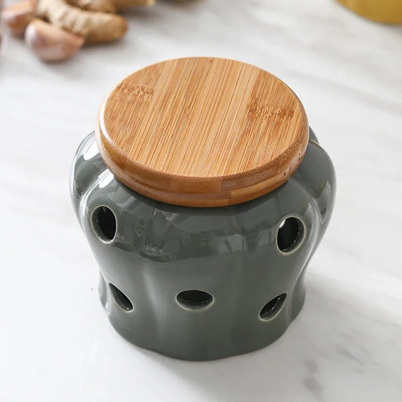 Pote Criativo vazado de Armazenamento em Cerâmica para alho, gengibre, pimenta etc - achatudostore